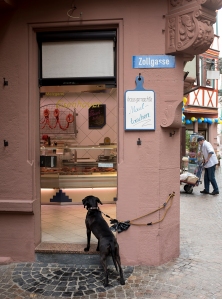 A DOG WAITS FOR ITS MASTER OUTSIDE A BUTCHER SHOP IN WERTHEIM, GERMANY